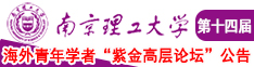 黑人插逼视频南京理工大学第十四届海外青年学者紫金论坛诚邀海内外英才！